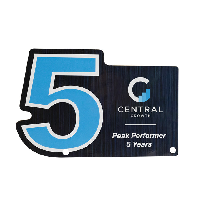 Acrylic Award - Custom Shape 10