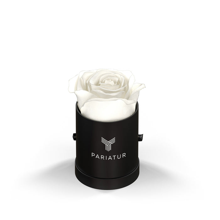Classique by VeF Le Mini™  Round